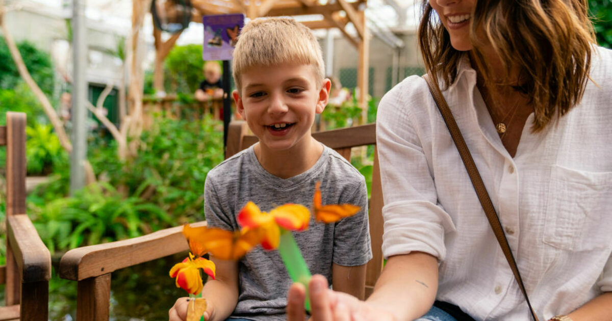 Butterfly House & Aquarium Experience Sioux Falls