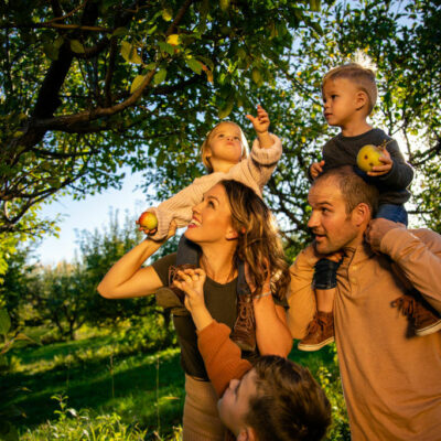 Apple Orchard Family