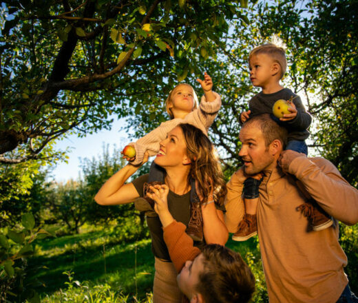 Apple Orchard Family