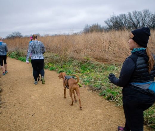 Good Earth State Park Hiking