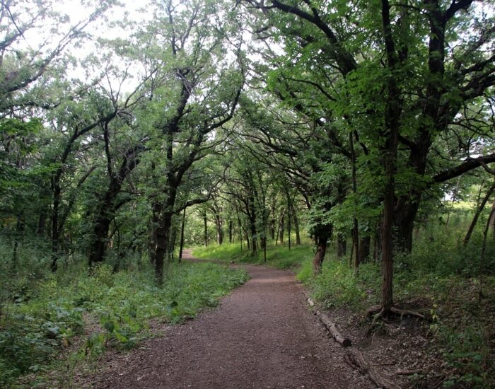 Good Earth State Park trails