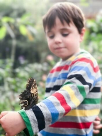 Butterfly House